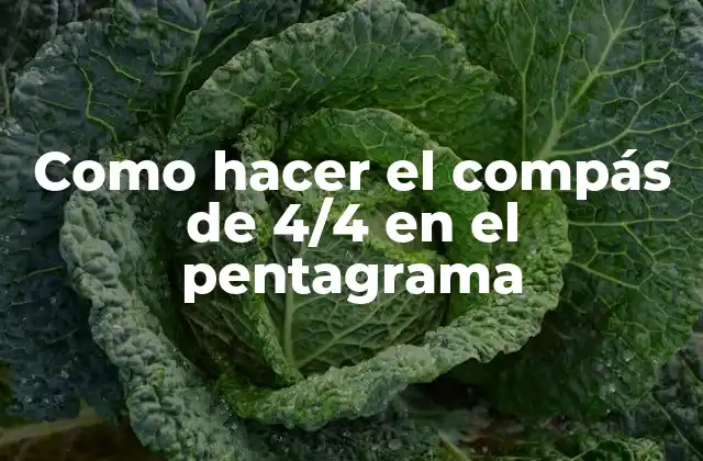 Como Hacer el Compás de 4/4 en el Pentagrama