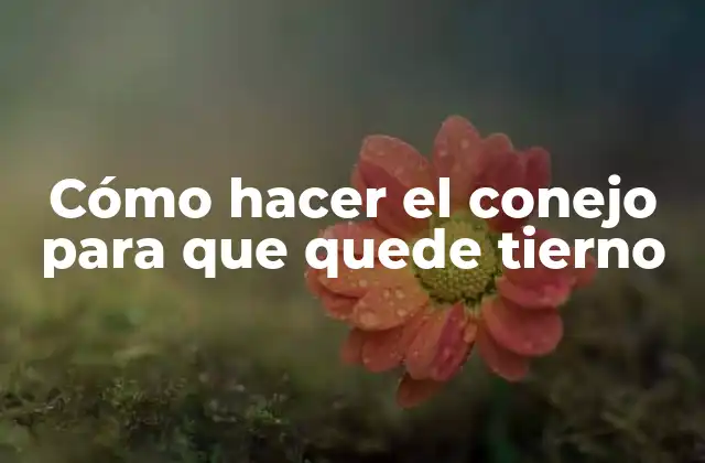 Cómo Hacer el Conejo para que Quede Tierno