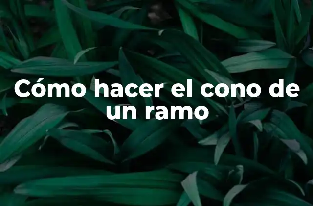 Cómo Hacer el Cono de un Ramo