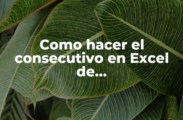 Como Hacer el Consecutivo en Excel de A010010010100004105