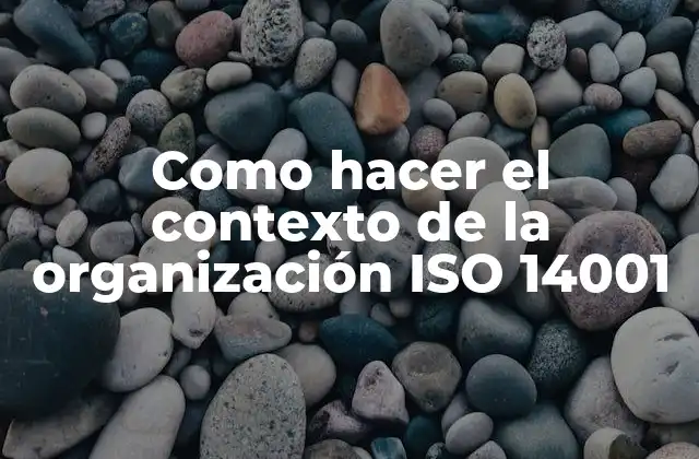 Como Hacer el Contexto de la Organización Iso 14001