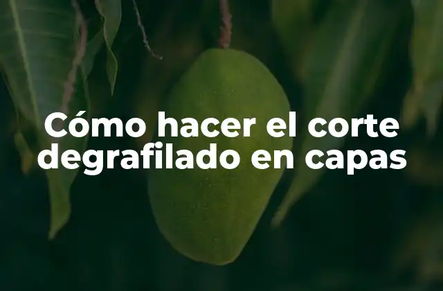 Cómo Hacer el Corte Degrafilado en Capas