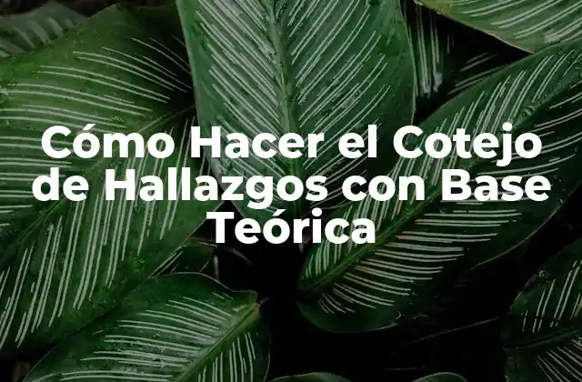 Cómo Hacer el Cotejo de Hallazgos con Base Teórica