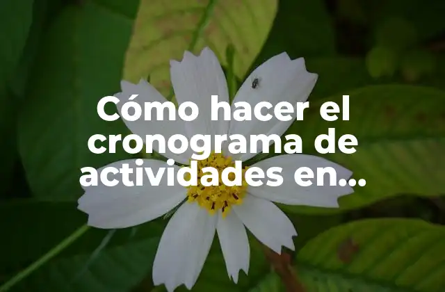 Cómo Hacer el Cronograma de Actividades en Auditoría Interna