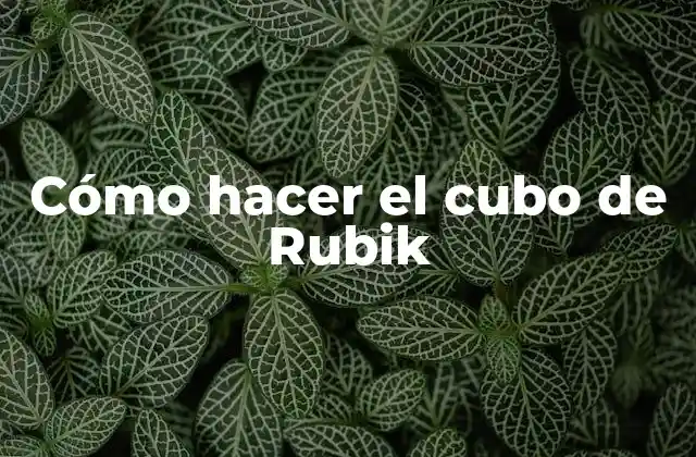 Cómo Hacer el Cubo de Rubik 2 Cómo hacer el cubo de Rubik