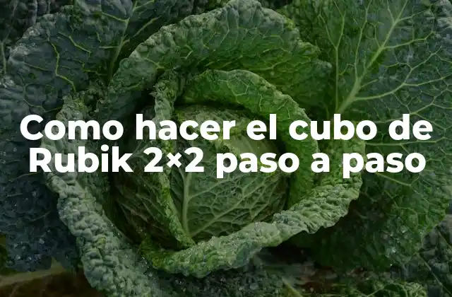 Como Hacer el Cubo de Rubik 2×2 Paso a Paso