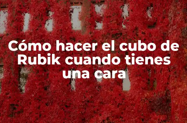 Cómo Hacer el Cubo de Rubik Cuando Tienes una Cara