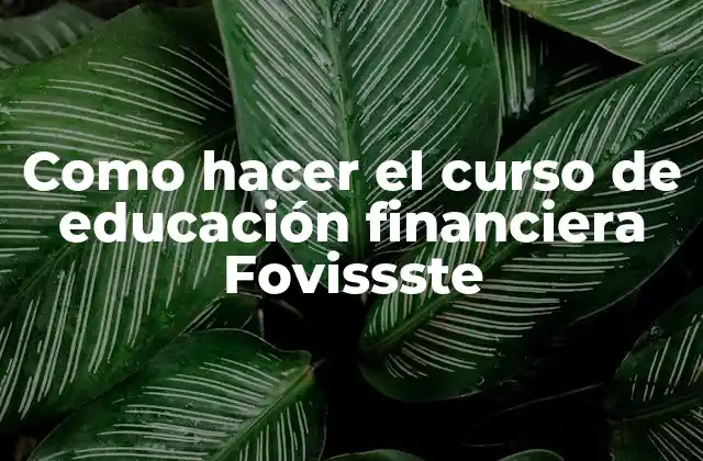 Como Hacer el Curso de Educación Financiera Fovissste