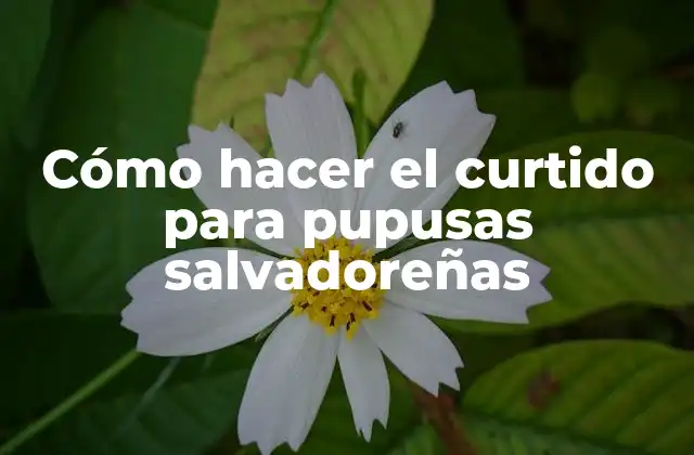 Cómo Hacer el Curtido para Pupusas Salvadoreñas 2 Cómo hacer el curtido para pupusas salvadoreñas
