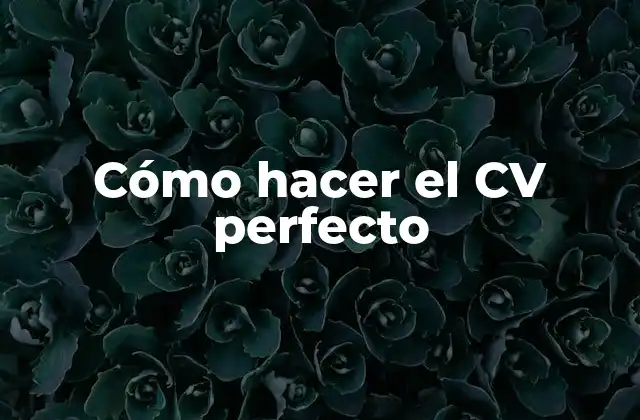 Cómo Hacer el Cv Perfecto