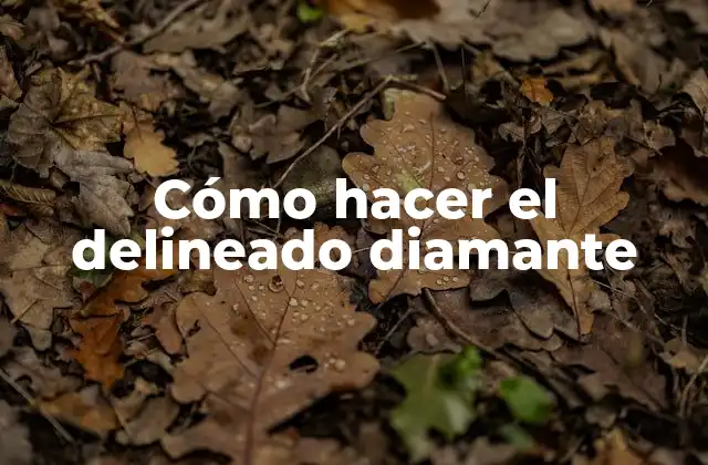 Cómo Hacer el Delineado Diamante