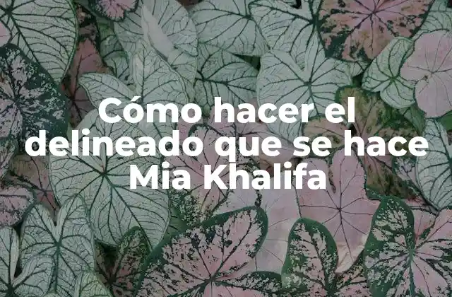 Cómo Hacer el Delineado que Se Hace Mia Khalifa