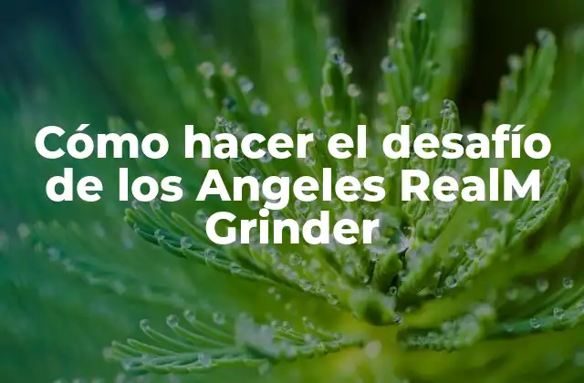 Cómo Hacer el Desafío de los Angeles Realm Grinder