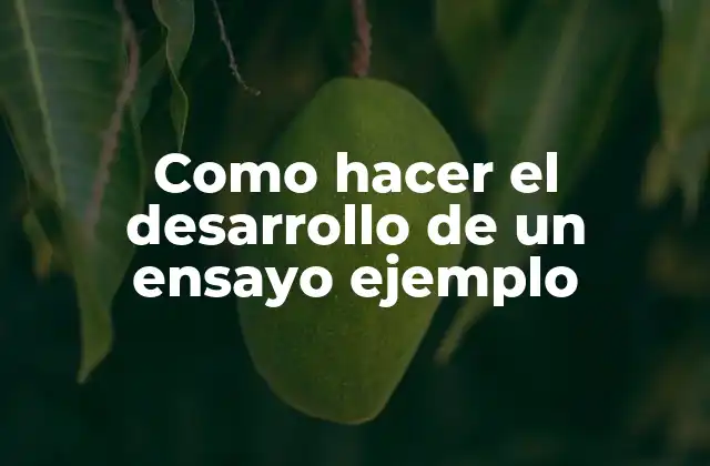 Como Hacer el Desarrollo de un Ensayo Ejemplo 2 Como hacer el desarrollo de un ensayo ejemplo