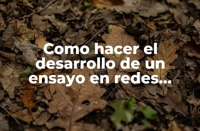Como Hacer el Desarrollo de un Ensayo en Redes Sociales