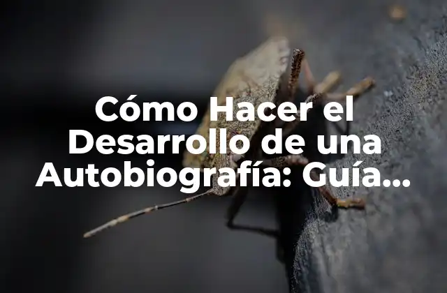 Cómo Hacer el Desarrollo de una Autobiografía: Guía Completa