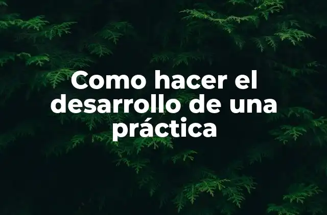 Como Hacer el Desarrollo de una Práctica
