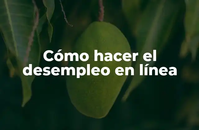 Cómo Hacer el Desempleo en Línea