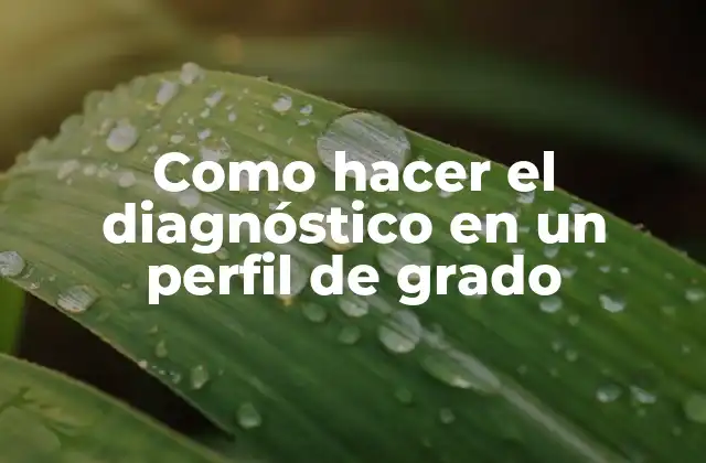 Diagnóstico en un perfil de grado