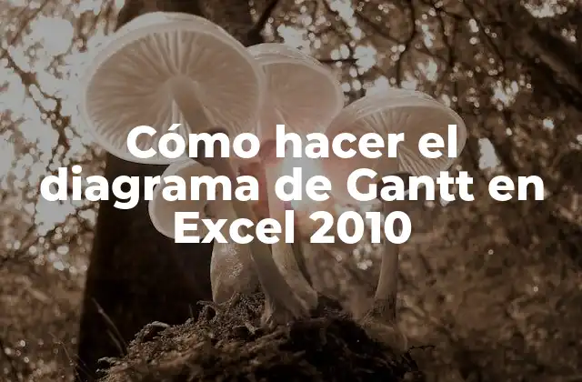 Cómo Hacer el Diagrama de Gantt en Excel 2010