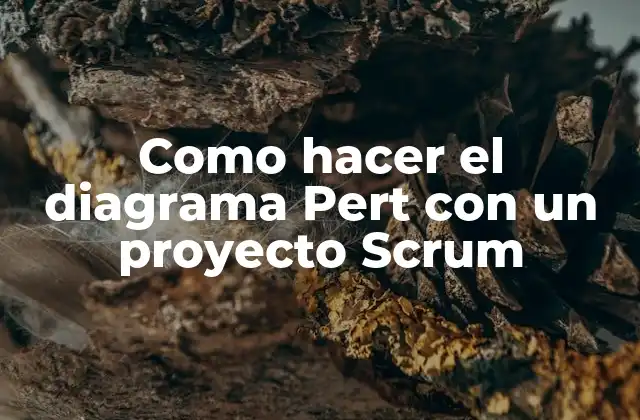 Como Hacer el Diagrama Pert con un Proyecto Scrum