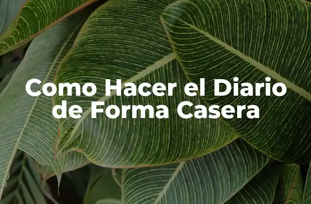 Como Hacer el Diario de Forma Casera