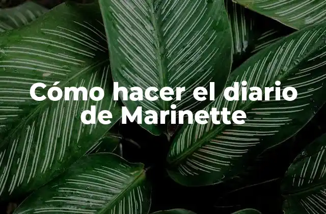 Cómo Hacer el Diario de Marinette
