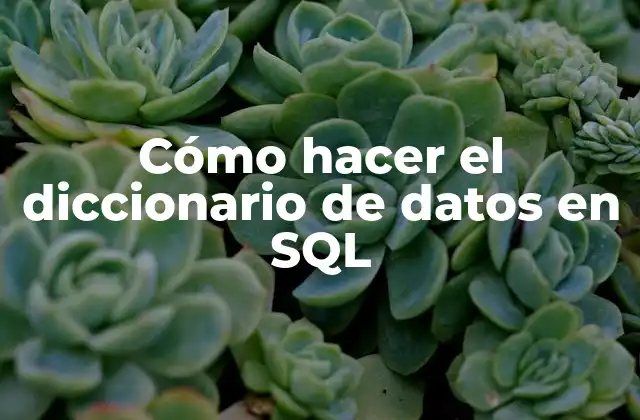 Cómo Hacer el Diccionario de Datos en Sql