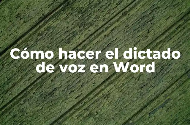 Cómo Hacer el Dictado de Voz en Word
