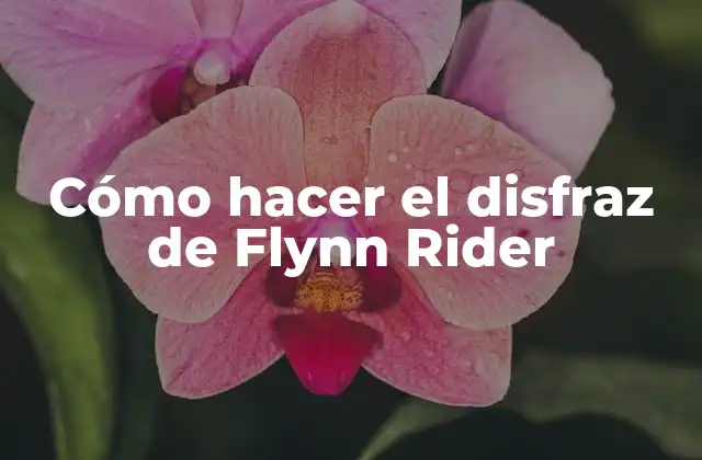 Cómo Hacer el Disfraz de Flynn Rider
