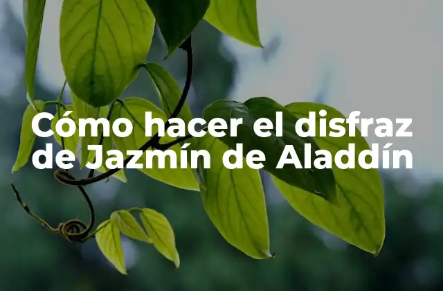 Cómo Hacer el Disfraz de Jazmín de Aladdín