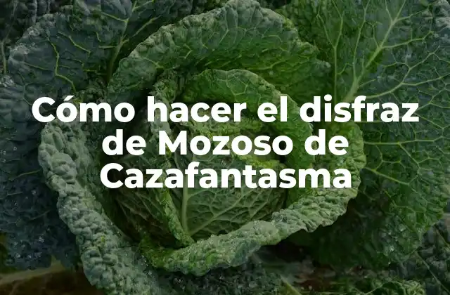 Cómo Hacer el Disfraz de Mozoso de Cazafantasma