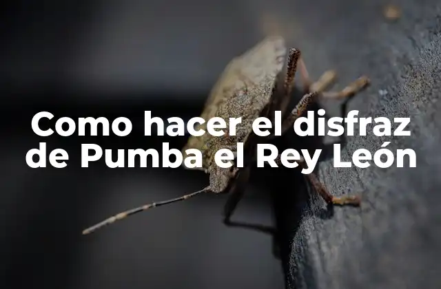 Como Hacer el Disfraz de Pumba el Rey León