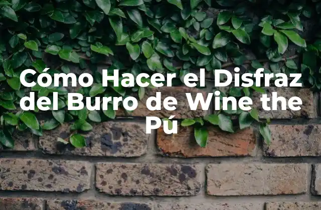 Cómo Hacer el Disfraz Del Burro de Wine The Pú