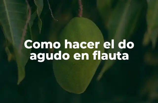 Como Hacer el Do Agudo en Flauta 2 ¿Qué es el do agudo en flauta?