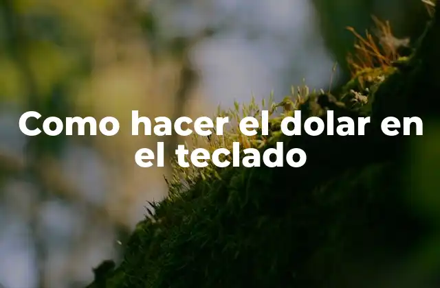 Como Hacer el Dolar en el Teclado