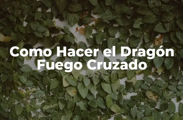 Como Hacer el Dragón Fuego Cruzado