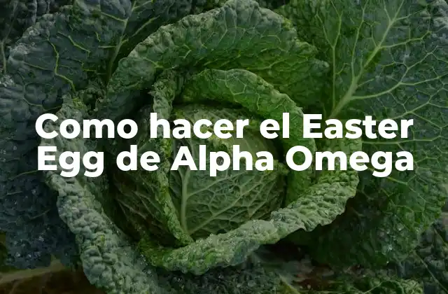 Como Hacer el Easter Egg de Alpha Omega