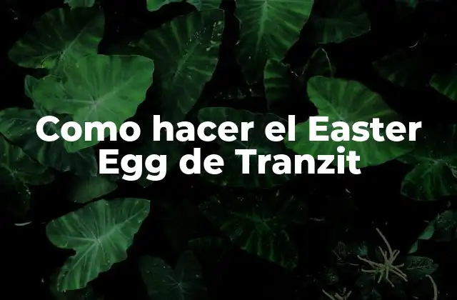 Como Hacer el Easter Egg de Tranzit