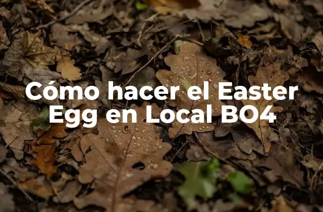 Cómo Hacer el Easter Egg en Local Bo4