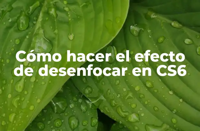 Cómo Hacer el Efecto de Desenfocar en Cs6