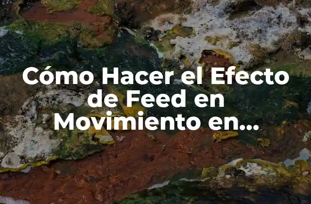Cómo Hacer el Efecto de Feed en Movimiento en Instagram