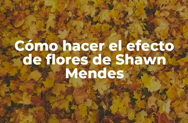 Cómo Hacer el Efecto de Flores de Shawn Mendes