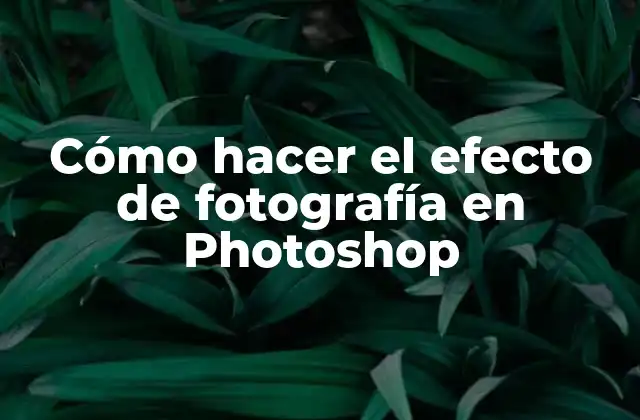 Cómo Hacer el Efecto de Fotografía en Photoshop