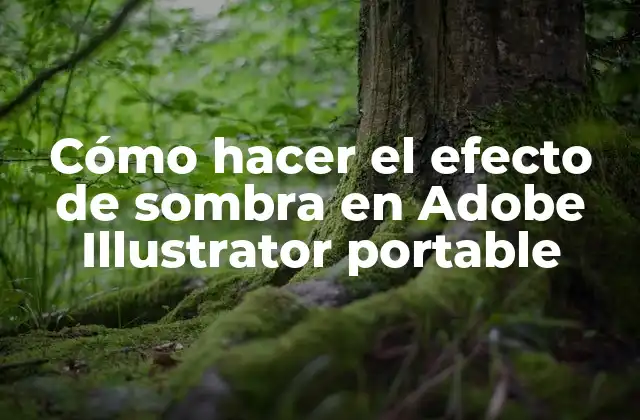 Cómo hacer el efecto de sombra en Adobe Illustrator portable