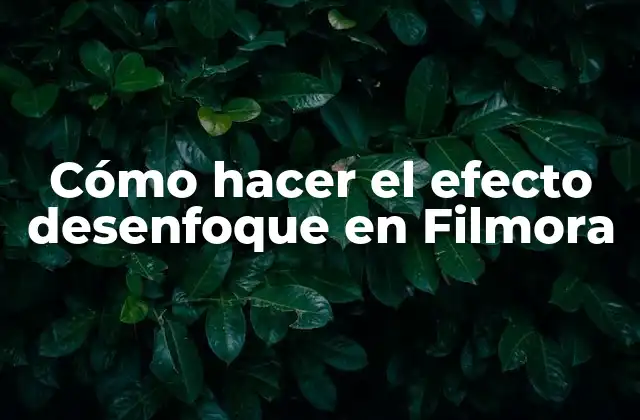 ¿Qué es el efecto desenfoque en Filmora?