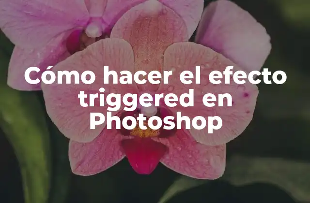 Cómo Hacer el Efecto Triggered en Photoshop