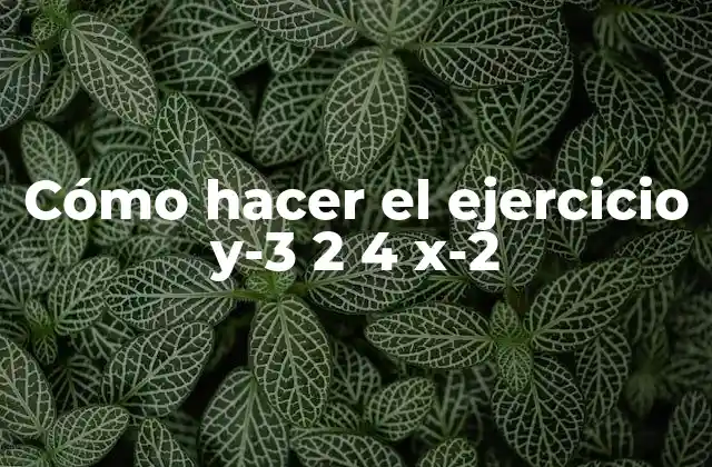 ¿Qué es el ejercicio y-3 2 4 x-2?