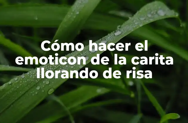 ¿Qué es el emoticon de la carita llorando de risa?
