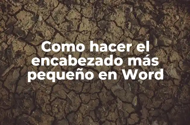 Como Hacer el Encabezado Más Pequeño en Word